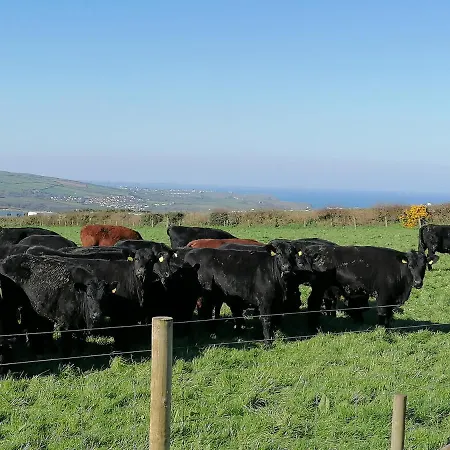 View Holiday home Boscastle